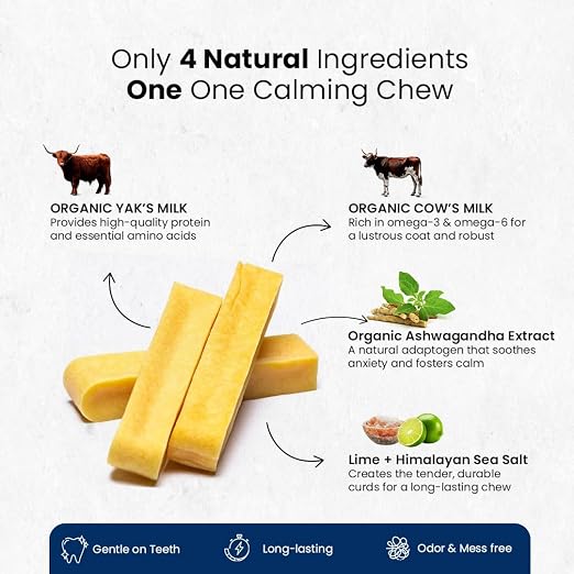 Yak Cheese Chews – 6-Hour Long-Lasting Dental Treats for Dogs | Mental Stimulation + Daily Wellness | Natural, 100% Veg, Protein-Rich | Pack of 1 Chew