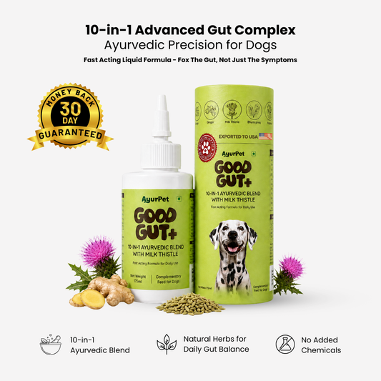 GoodGut+|  Digestive Enzymes & Prebiotics | Gut & Liver Health, Reduced Scratching & Paw-Licking | 100% Natural
