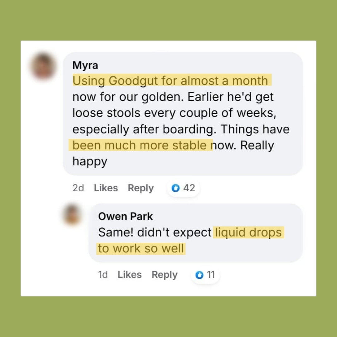 AyurPet GoodGut+ & CollCalm  | 100% Natural Gut-Brain Axis Support | Non-Drowsy, 175ml each