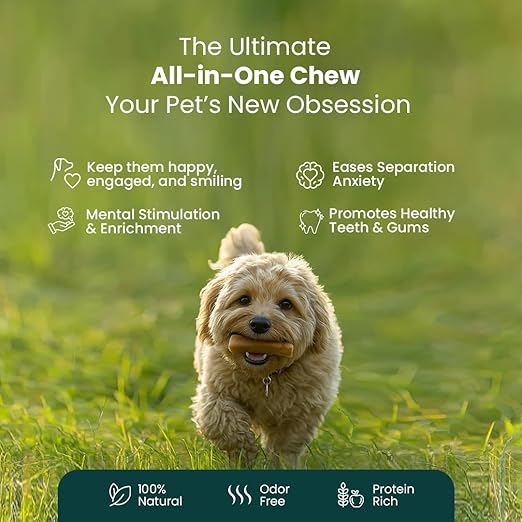 Yak Cheese Chews – 6-Hour Long-Lasting Dental Treats for Dogs | Mental Stimulation + Daily Wellness | Natural, 100% Veg, Protein-Rich | Pack of 1 Chew