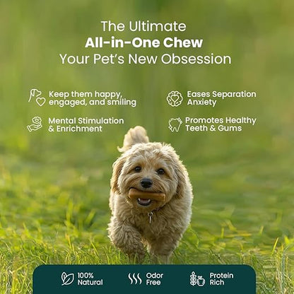 Yak Cheese Chews – 6-Hour Long-Lasting Dental Treats for Dogs | Mental Stimulation + Daily Wellness | Natural, 100% Veg, Protein-Rich | Pack of 1 Chew