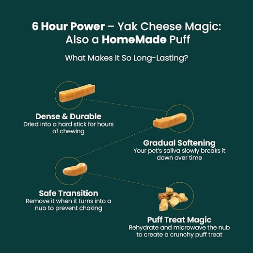 Yak Cheese Chews – 6-Hour Long-Lasting Dental Treats for Dogs | Mental Stimulation + Daily Wellness | Natural, 100% Veg, Protein-Rich | Pack of 1 Chew