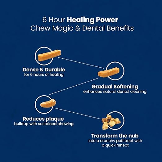 Yak Cheese Chews – 6-Hour Long-Lasting Dental Treats for Dogs | Mental Stimulation + Daily Wellness | Natural, 100% Veg, Protein-Rich | Pack of 1 Chew