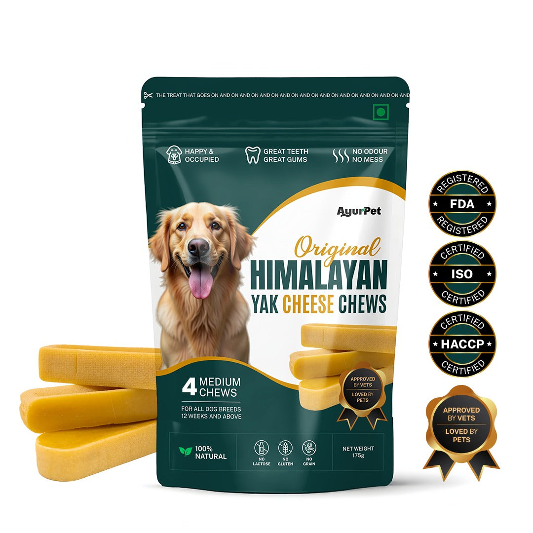 Healing Turmeric Yak Cheese Chews | 6-Hour Long Lasting Dental Chew