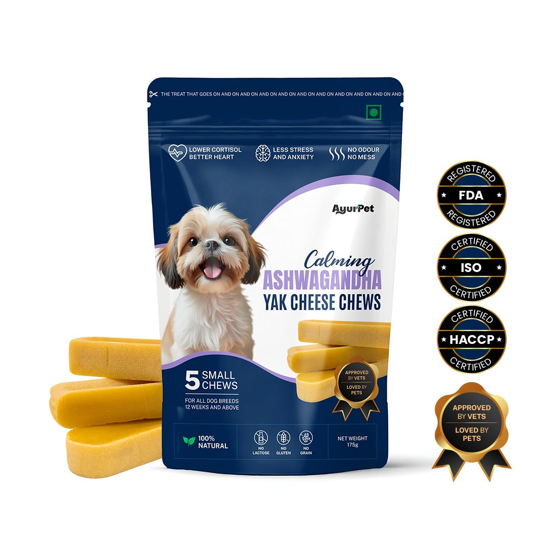 Healing Turmeric Yak Cheese Chews | 6-Hour Long Lasting Dental Chew