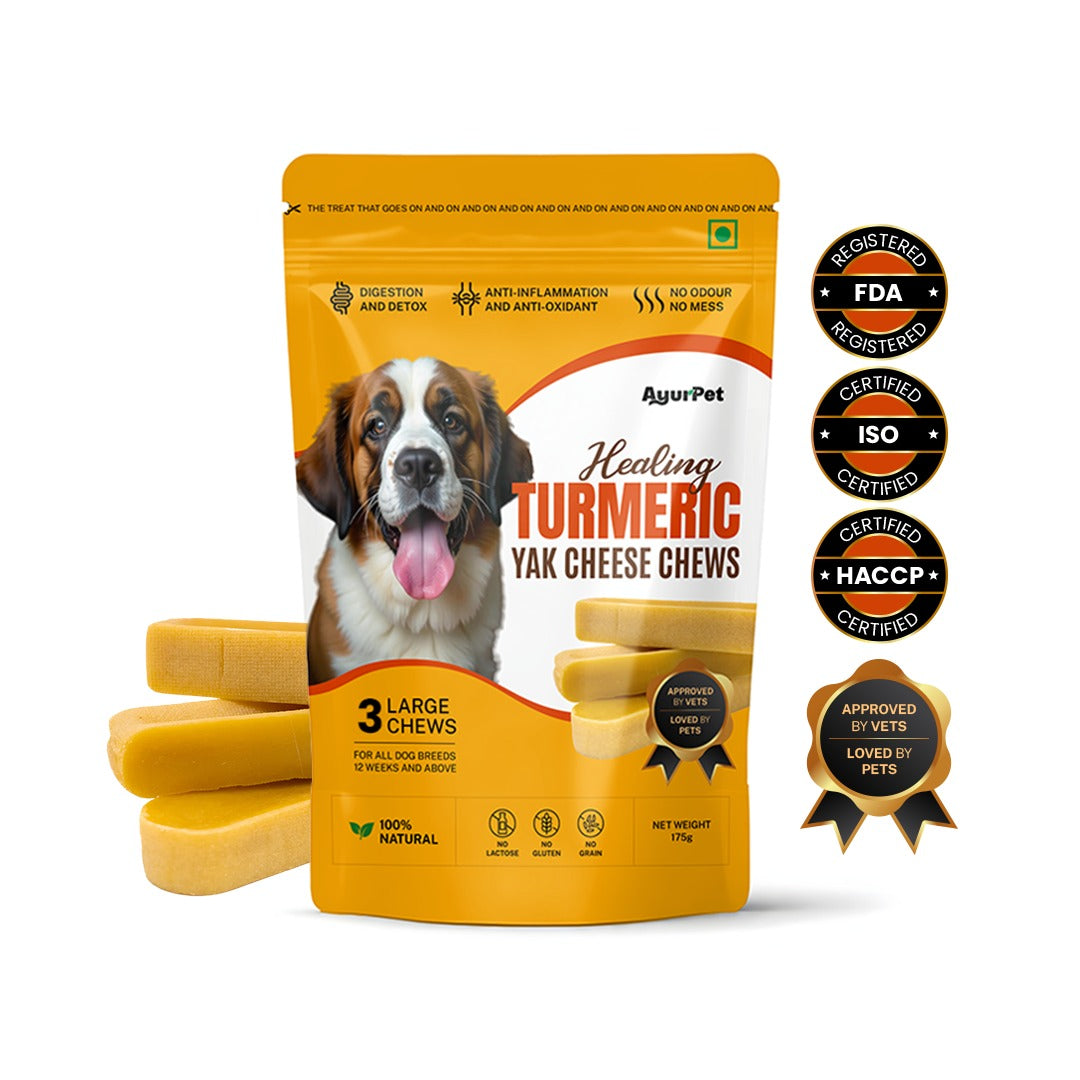 Healing Turmeric Yak Cheese Chews