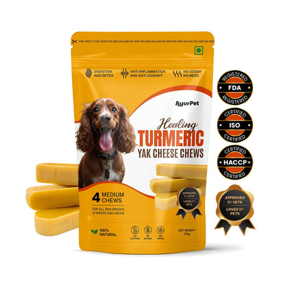 Healing Turmeric Yak Cheese Chews | 6-Hour Long Lasting Dental Chew