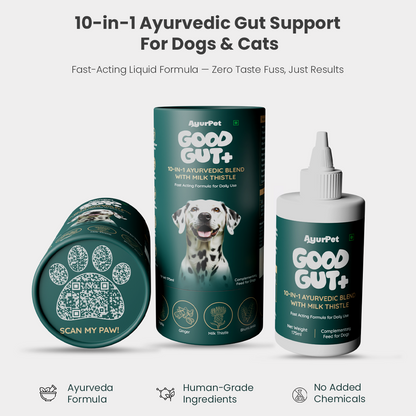 AyurPet Good Gut supplement for dogs and cats with packaging and bottle on a light gray background