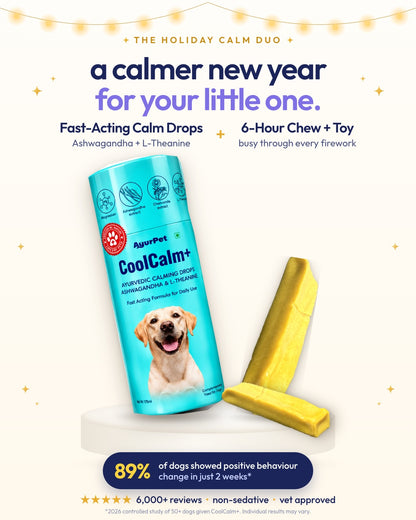 The Holiday Calm Duo: a calmer New Year for your little one. Fast-acting CoolCalm+ calm drops with Ashwagandha and L-Theanine, plus two 6-hour Ashwagandha yak chews. 89% of dogs showed positive behaviour change in 2 weeks.