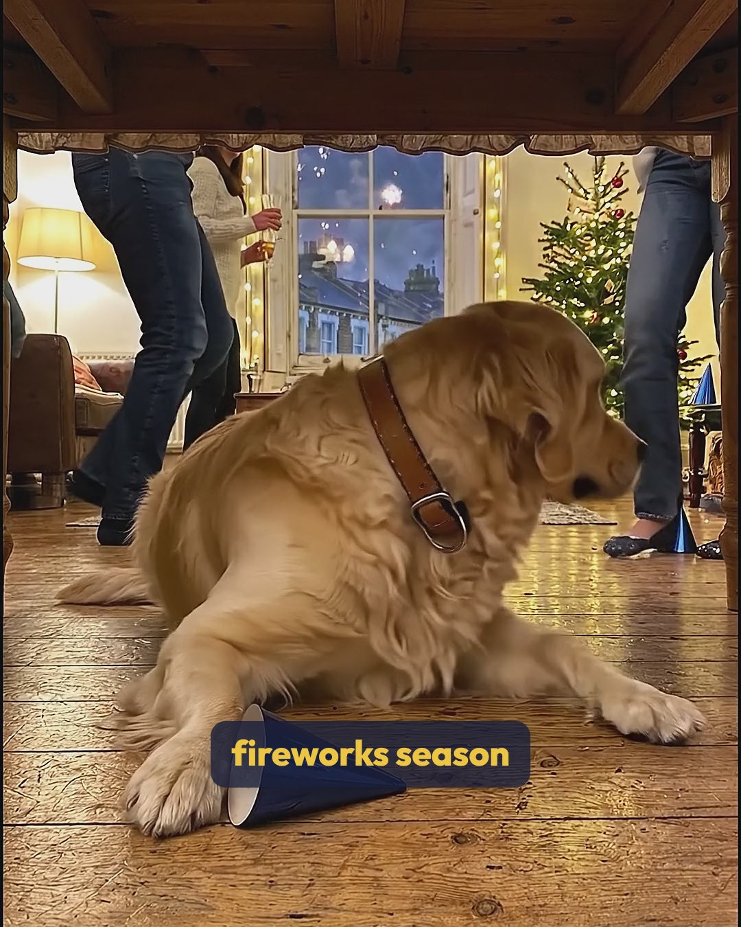 Holiday Calm Duo video: a golden retriever hides from New Year fireworks; CoolCalm+ drops two weeks before and an Ashwagandha yak chew on the night keep him calm, not sedated